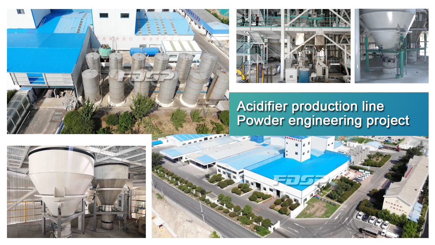 FDSP Acidifier production line Powder engineering project successfully passed the acceptance