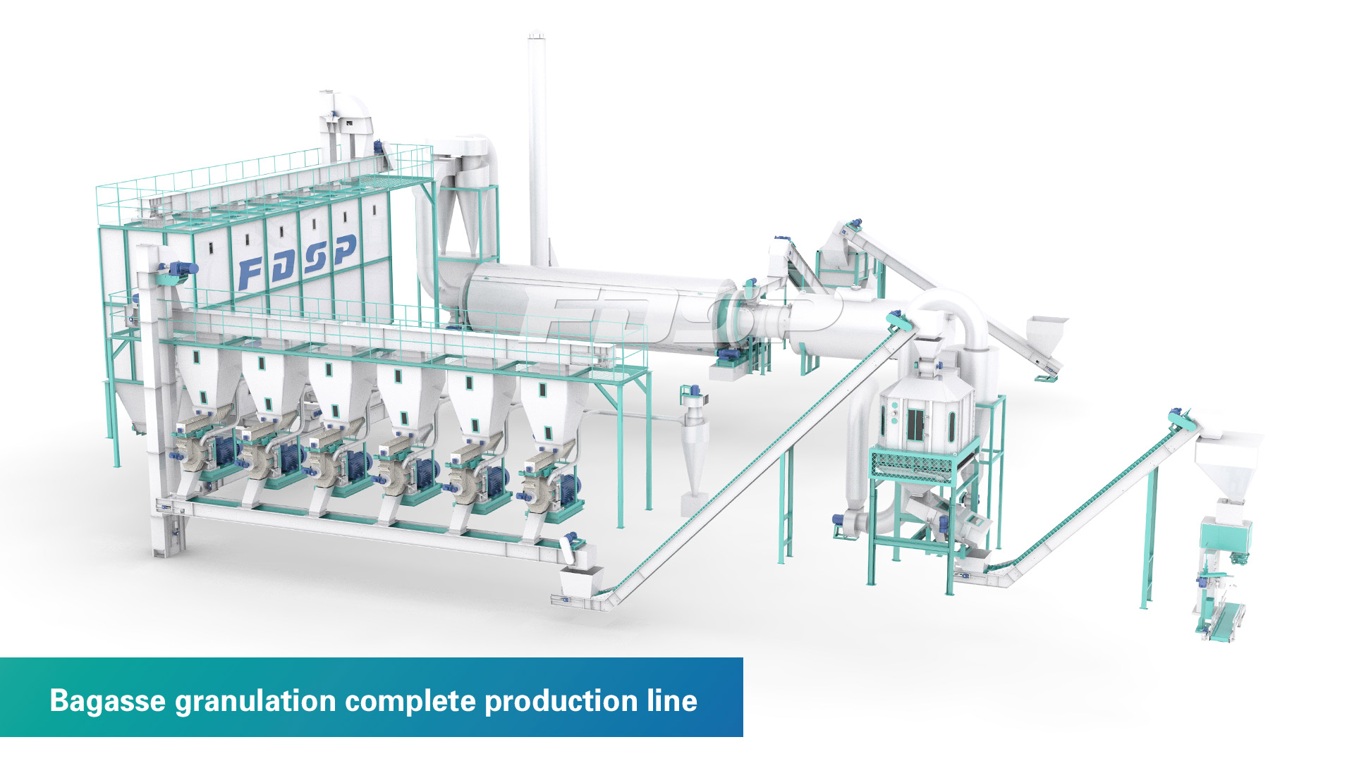 Biomass Engineering Ligne de production complète de granulation de bagasse